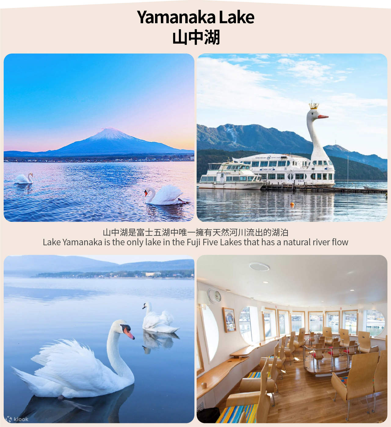[Mt. Fuji Cycling, Matcha Experience, and Hot Spring Two-Day Deep Dive Tour] Kawaguchiko & Matcha Experience & Ropeway & Hot Spring & Yamanakako Cycling & Oshino Hakkai &... - Image 6